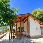 Ksilifor Veliko Tarnovo