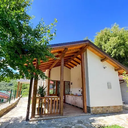 Ksilifor Veliko Tŭrnovo